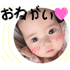 ranchan.t