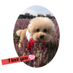 我的小點兒❤️