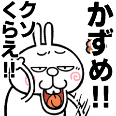 Angry name rabbitt[Kazu]