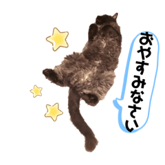 yorutomato