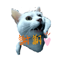 mori_20191204100343