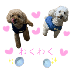 cocorunnokimochi2