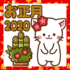White cat,2020 New Year holidays