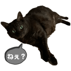 rina_20191204165717