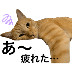 mizuki_20191204161445