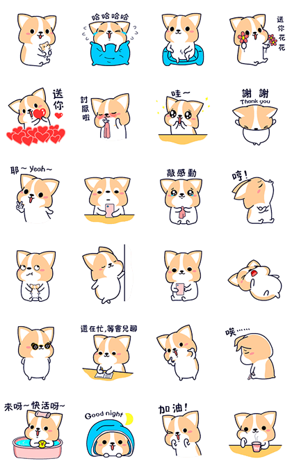 Corgi Gorgi Corgi Gorgi