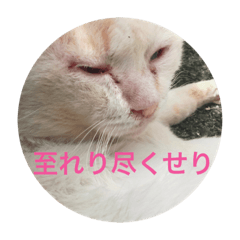 ayano_20191204193410