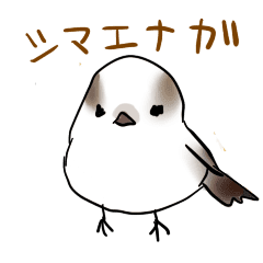 Pretty Bird Stamp Shimaenaga Line Stickers Line Store