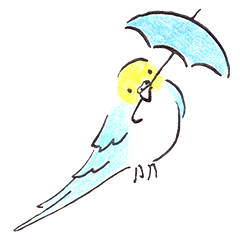 Cute Little Parakeet - HAPPY LIFE