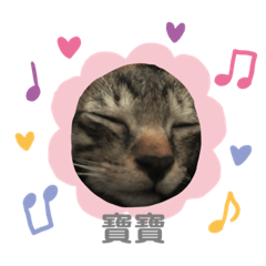 江ㄚ皮