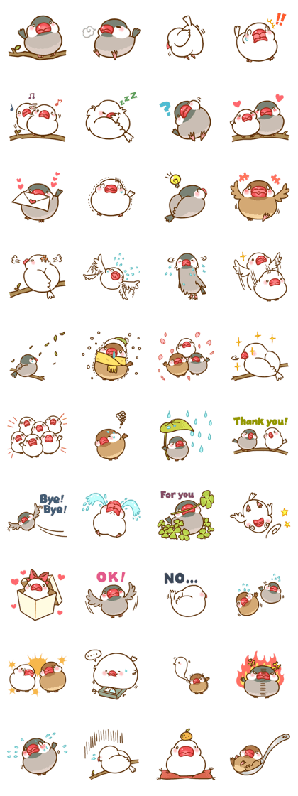 Chubby java sparrow