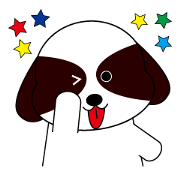 Shih Tzu dog Seachan