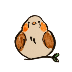 Panda_20191204233527