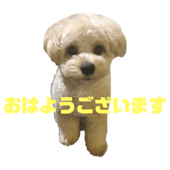 hana_20191204224427