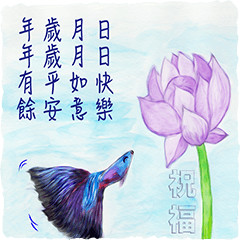 Lotus Flower. (11CT6)