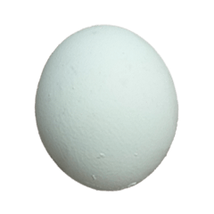 食品シリーズ : いくつかの卵