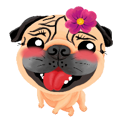 SihWun's Pug World