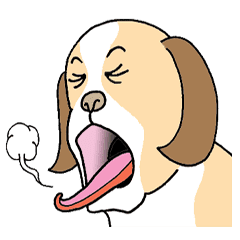 ザ 犬 Line スタンプ Line Store