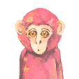 pink monkeys