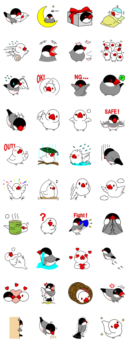 Love Bird Java sparrow