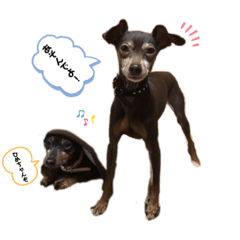 ayumi_20191205095330