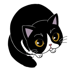 Panda-cat Mink(English version)