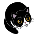Panda-cat Mink(English version)