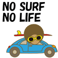 NO SURF NO LIFE