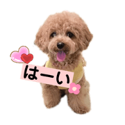 1783_20191205154546