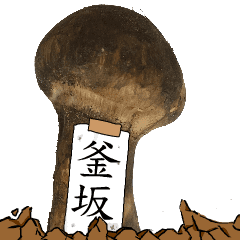 松茸研究家釜坂さんのマツタケ