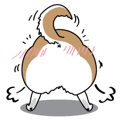 猫の手と犬の尻尾 Line スタンプ Line Store