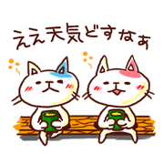the pad of cat  @ kyoto