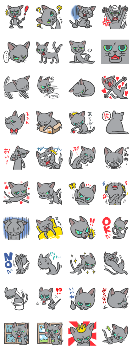 Russian Blue cat "MAITAKE"