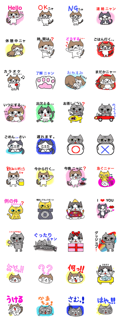 Cat "BIBI" and pleasant friends.