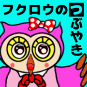 Tweets Owl