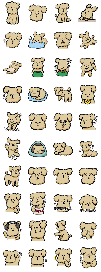 Yes, I am Toy Poodle