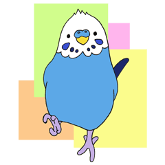 Daily life of budgerigars