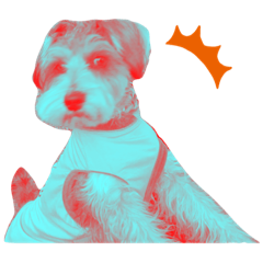 Natsumi_20191205114945