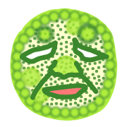 Volvox