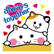 Life of pretty cat Toromi and  Kyubee.