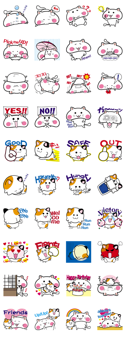 Life of pretty cat Toromi and  Kyubee.