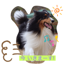 Junko_20191205203706