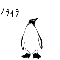 penguin p