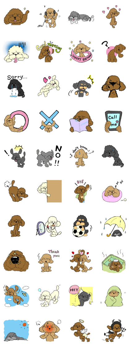 Let's talk with toy poodle!