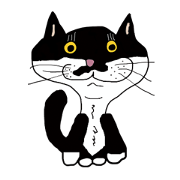 cat kab