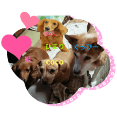 hona_20191205200312