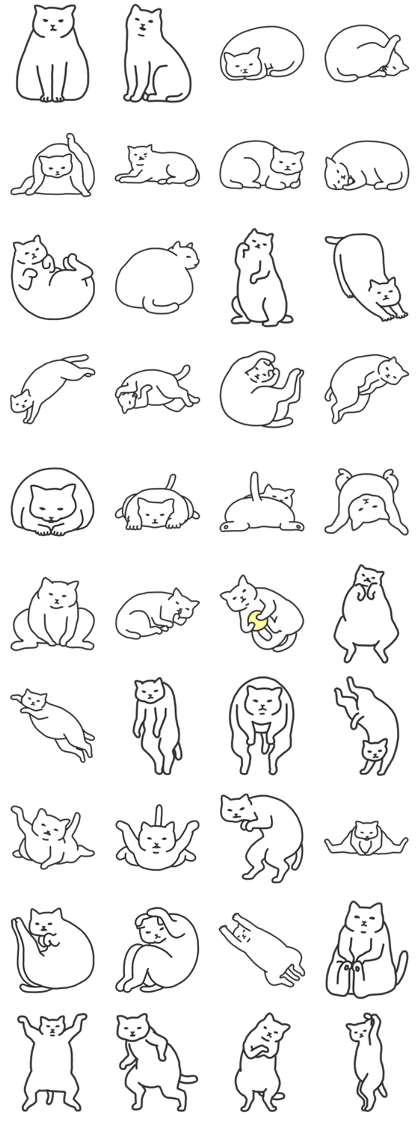 Cat is watching