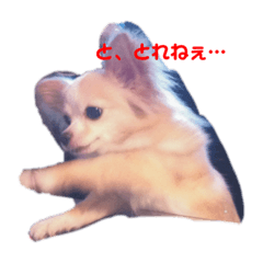 goton_20191206043109