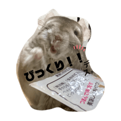 Haruna_20191206002730