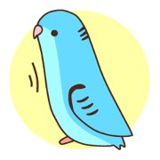 Barred parakeet